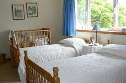 Eliminate bedbugs from you bedroom naturally