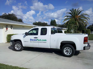 Contact Steve's Termite and Pest Control in Sarasota, Florida